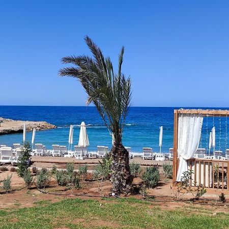 The Seaterra Reserve Penthouse With Mountains&Seaviews And Rooftop Terrace Akanthou Extérieur photo